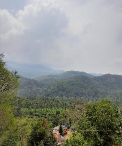 3 Acre property for sale in Mananthavady, Wayanad