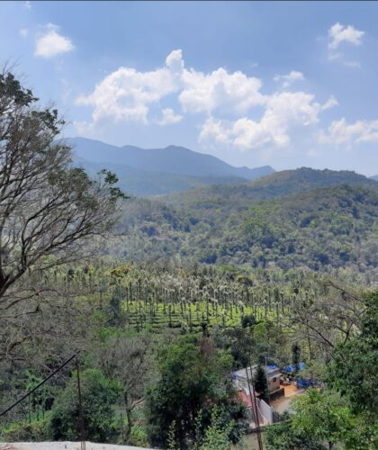 3 Acre property for sale in Mananthavady, Wayanad