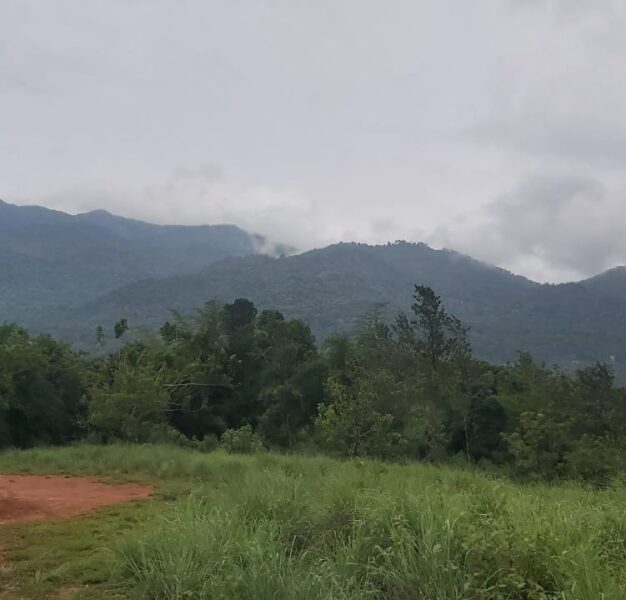 4.30 Acre property for sale in Vythiri, Wayanad