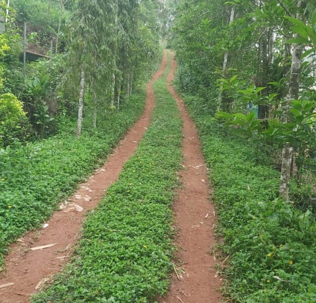 4.30 Acre property for sale in Vythiri, Wayanad