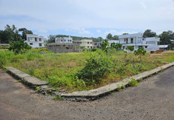 Plot for Sale Near Chottanikkara Temple